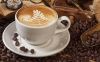 cappuccino-dua - ảnh nhỏ  1